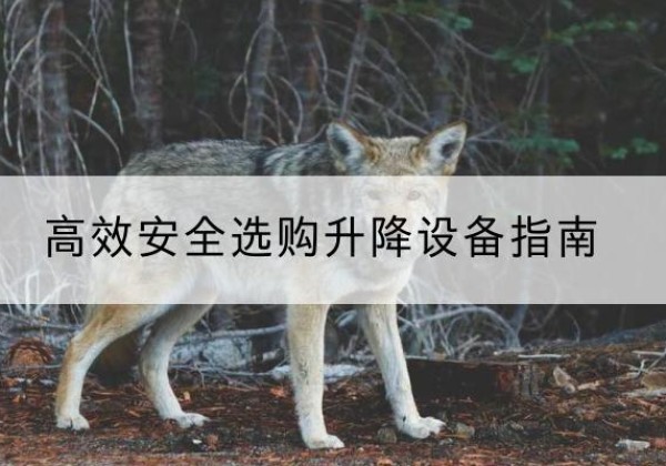 黎川升降货梯厂家推荐-*安全选购升降设备指南