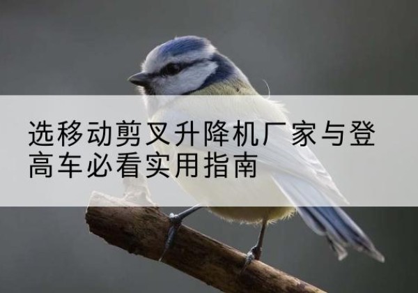 黎川电动升降机厂家-选移动剪叉升降机厂家与登高车必看实用指南
